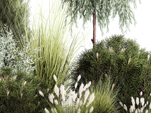 Trees And Bushes For The Garden Spruce Thuja 1192 Modelo 3D