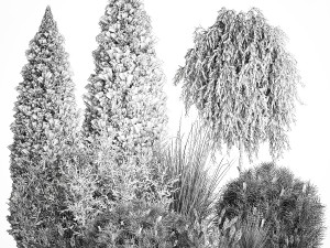 Trees And Bushes For The Garden Spruce Thuja 1192 Modelo 3D