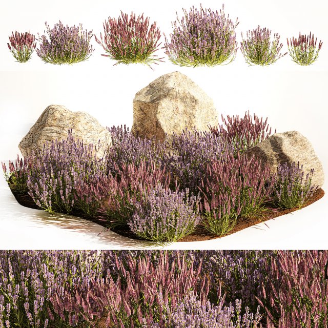 Alpine Slide With Lavender Bushes Sage And Stones 1191 3D Модель .c4d .max .obj .3ds .fbx .stl .blend 