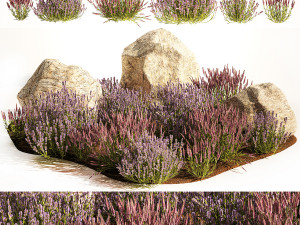 Alpine Slide With Lavender Bushes Sage And Stones 1191 3D Model