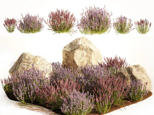 Alpine Slide With Lavender Bushes Sage And Stones 1191 3D Model