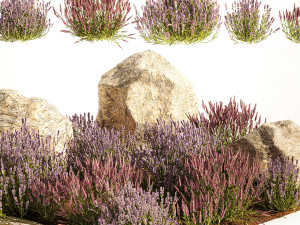 Alpine Slide With Lavender Bushes Sage And Stones 1191 3D Модель