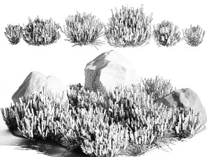 Alpine Slide With Lavender Bushes Sage And Stones 1191 3D Model