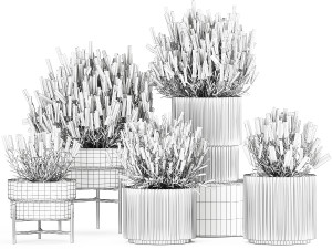 Set of flower bushes of lavender and Salvia in pots 1193 3D Model