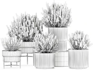 Set di cespugli di fiori di lavanda e salvia in vaso 1193 Modello 3D