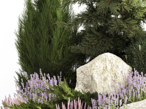 Alpine slide with thuja spruce lavender bushes and stones 1194 3D Модель