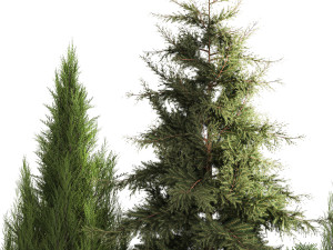 Alpine slide with thuja spruce lavender bushes and stones 1194 3D Модель