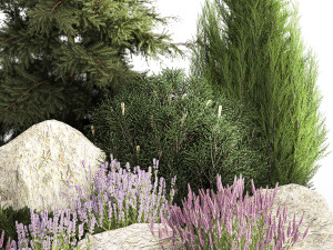 Alpine slide with thuja spruce lavender bushes and stones 1194 3D Модель