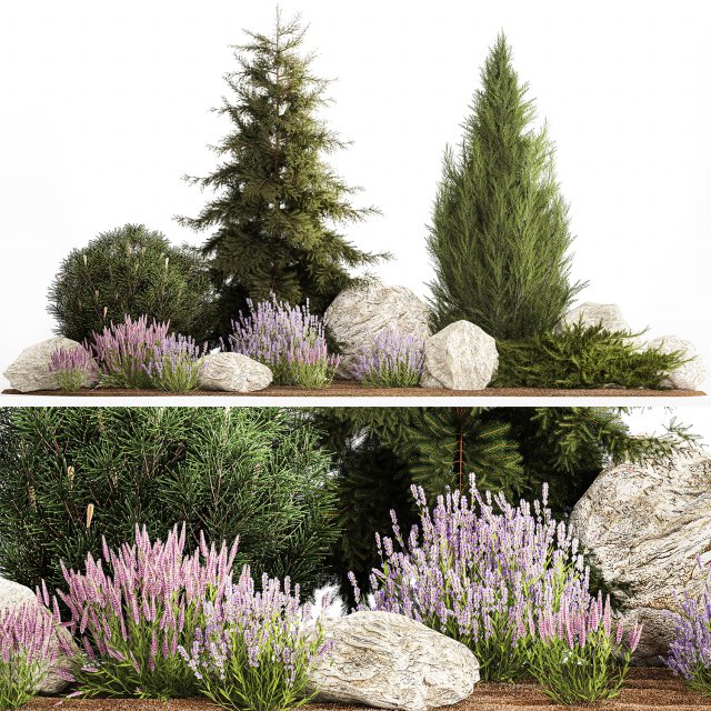 Alpine slide with thuja spruce lavender bushes and stones 1195 3D 모델 .c4d .max .obj .3ds .fbx .stl .blend 