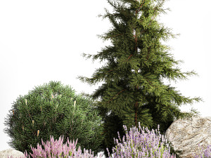Alpine slide with thuja spruce lavender bushes and stones 1195 3D 모델