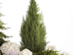 Alpine slide with thuja spruce lavender bushes and stones 1195 3D 모델