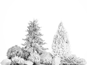 Alpine slide with thuja spruce lavender bushes and stones 1195 3D 모델