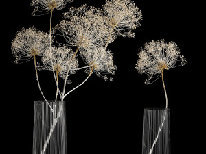 Set Of Bouquets Of Dried Flowers And Pampas Grass 280 Model 3D