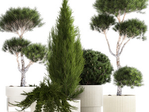 Plants in pots pine topiary thuja and juniper 1196 3D Model