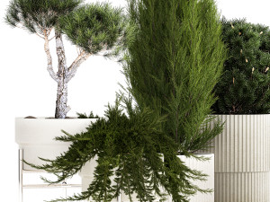 Plants in pots pine topiary thuja and juniper 1196 3D Model
