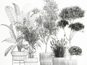 Set di piante in vaso ulivo palma strelitzia 1198 Modello 3D