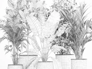 Set of potted plants ficus palm strelitzia 1198 3D Model