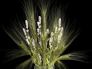 Bouquet of green wheat from spikelets and lavender flowers 282 3D Model