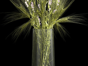 Bouquet of green wheat from spikelets and lavender flowers 282 3D Model