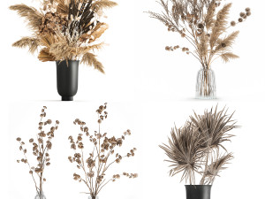 Set of bouquets of dried flowers pampas grass hydrangea 283 3D Model