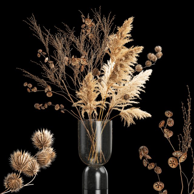 Bouquet of dried flowers with thorn and cardaderia branches 283 Model 3D .c4d .max .obj .3ds .fbx .stl .blend 