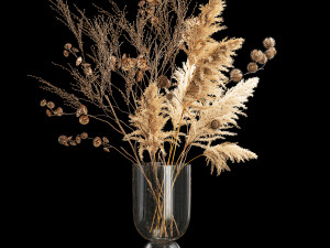 Bouquet of dried flowers with thorn and cardaderia branches 283 Model 3D