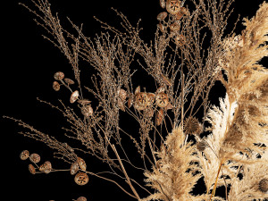 Bouquet of dried flowers with thorn and cardaderia branches 283 Model 3D