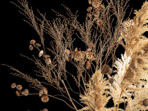 Mazzo di fiori secchi con spine e rami di cardaderia 283 Modello 3D