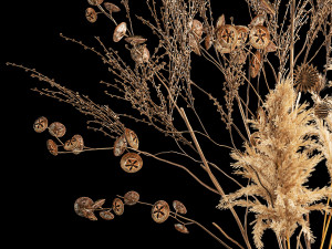 Bouquet of dried flowers with thorn and cardaderia branches 283 Model 3D