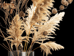 Bouquet of dried flowers with thorn and cardaderia branches 283 Model 3D
