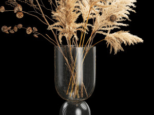 Bouquet of dried flowers with thorn and cardaderia branches 283 Model 3D
