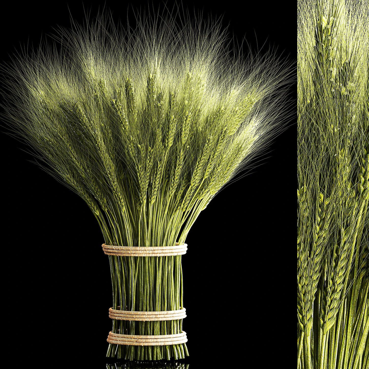 Decorative bouquet of green spikelets of wheat 286 3D Model .c4d .max .obj .3ds .fbx .stl .blend 