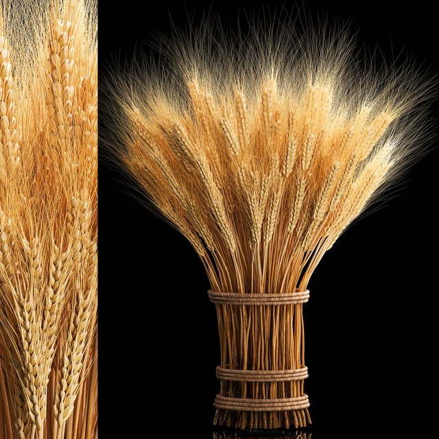 Bouquet of dried flowers from spikelets of wheat 287 3D Модель .c4d .max .obj .3ds .fbx .stl .blend 