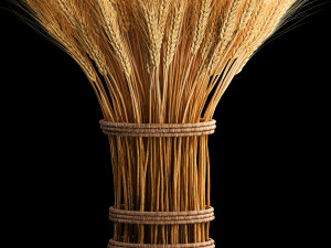 Bouquet of dried flowers from spikelets of wheat 287 3D Модель