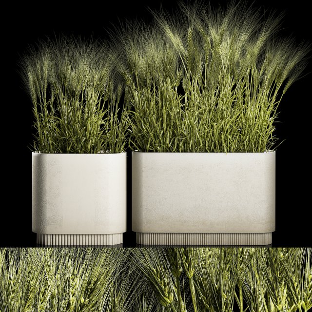 Set Of Green Ears Of Wheat In A Pot 1201 Modelo 3D .c4d .max .obj .3ds .fbx .stl .blend 