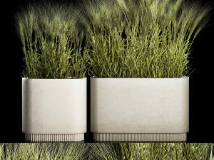 냄비에 밀의 녹색 귀 세트 1201 3D 모델