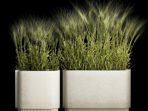 Set Of Green Ears Of Wheat In A Pot 1201 Modelo 3D