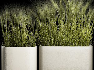 Set Of Green Ears Of Wheat In A Pot 1201 Modelo 3D