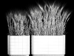 Set Of Green Ears Of Wheat In A Pot 1201 Modelo 3D