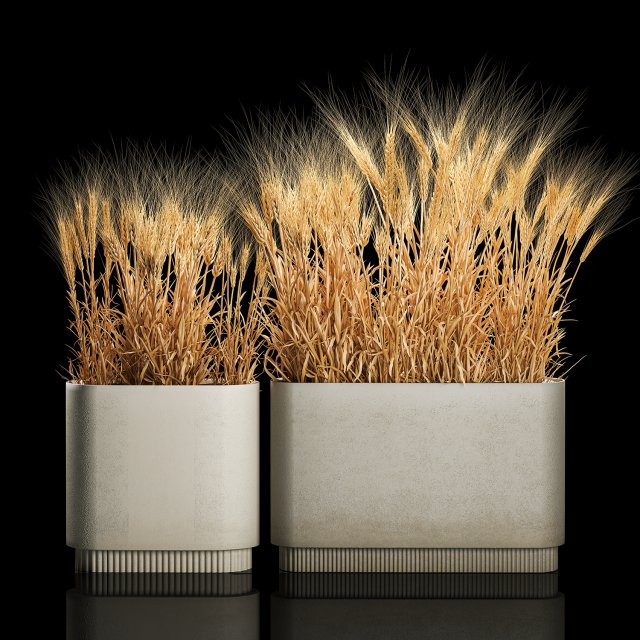 Set of dry ears of wheat in a pot 1202 3D Model .c4d .max .obj .3ds .fbx .stl .blend 