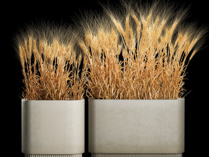 Set of dry ears of wheat in a pot 1202 3D Model