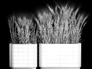 Set of dry ears of wheat in a pot 1202 3D Model