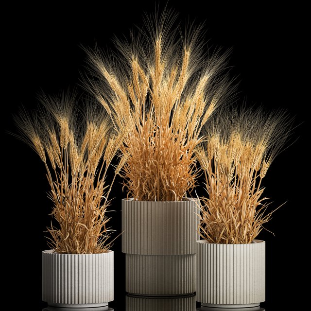 Set of dry ears of wheat in a pot 1203 Model 3D .c4d .max .obj .3ds .fbx .stl .blend 