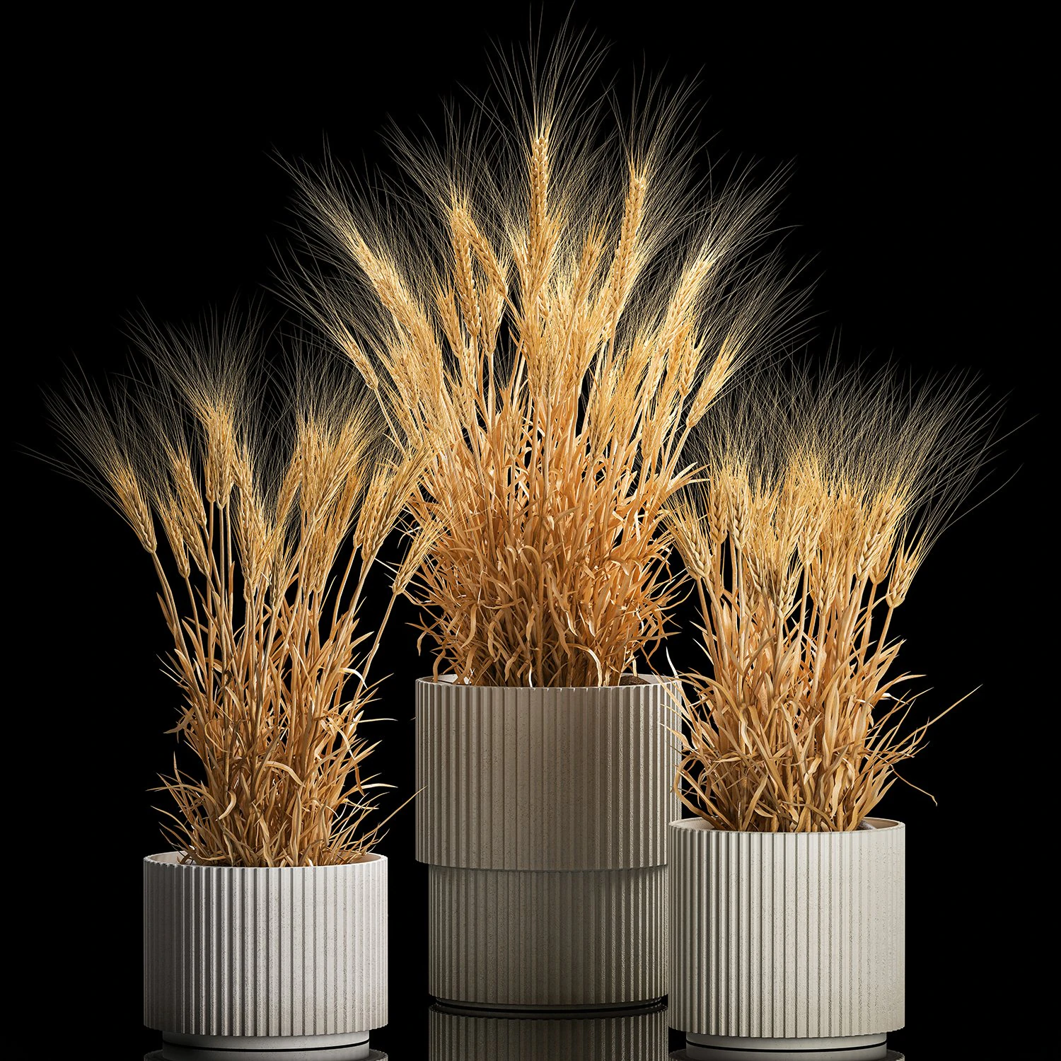 Set of dry ears of wheat in a pot 1203 3D Model .c4d .max .obj .3ds .fbx .stl .blend 