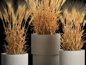 Set of dry ears of wheat in a pot 1203 Model 3D