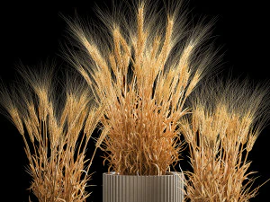 Set of dry ears of wheat in a pot 1203 3D Model