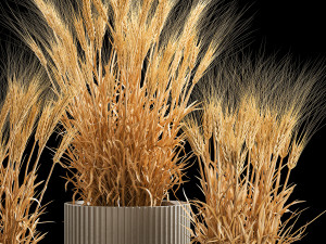 Set of dry ears of wheat in a pot 1203 Model 3D