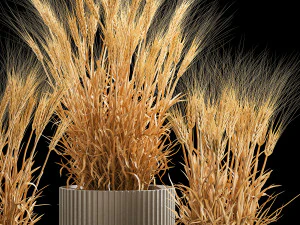 Set of dry ears of wheat in a pot 1203 3D Model