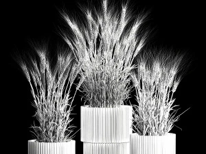 Set of dry ears of wheat in a pot 1203 3D Model