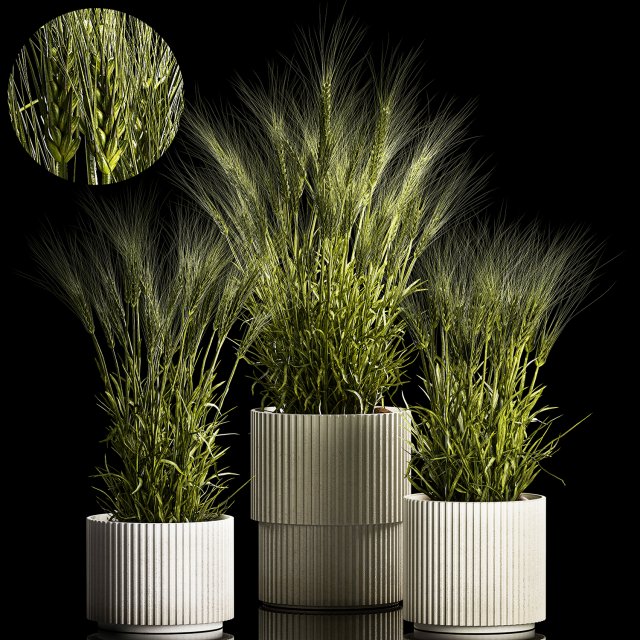 Set Of Green Ears Of Wheat In A Pot 1204 3D मॉडल .c4d .max .obj .3ds .fbx .stl .blend 